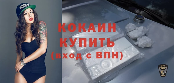 амф Пересвет