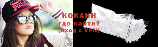 шишки Грязовец