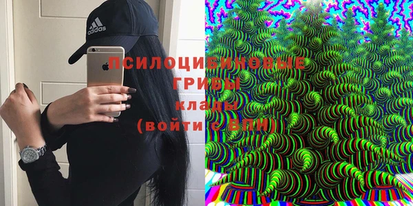 амф Пересвет