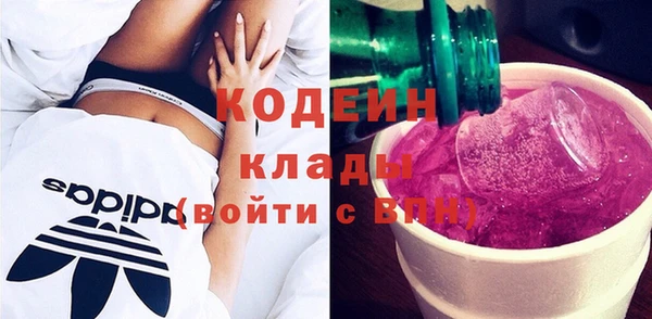 амф Пересвет