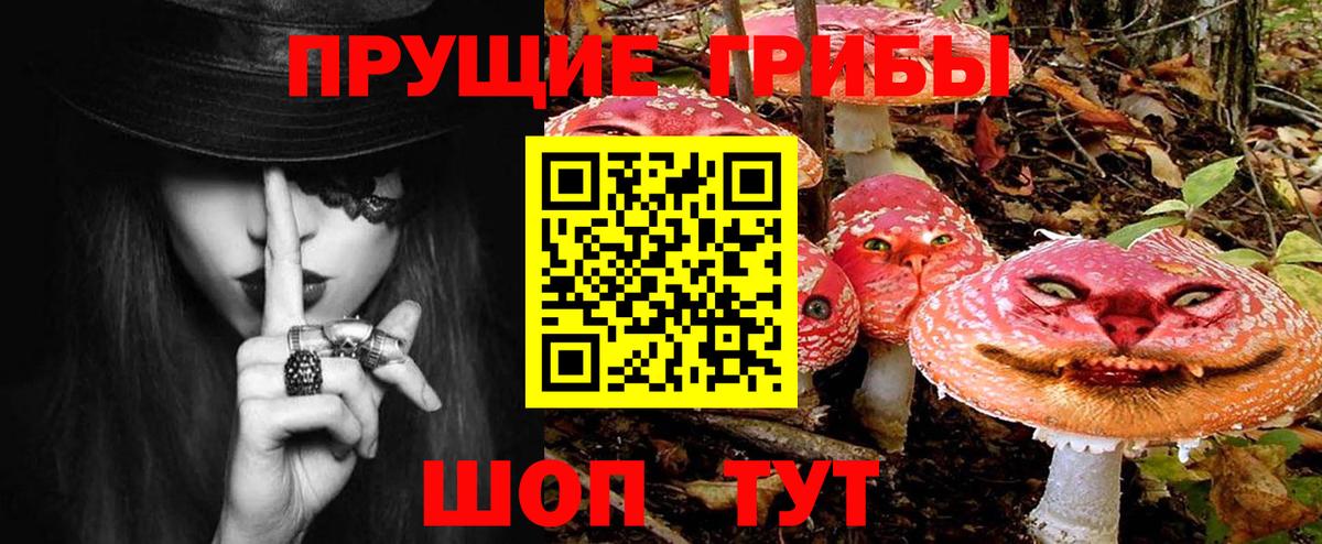 Псилоцибиновые грибы прущие грибы Барабинск